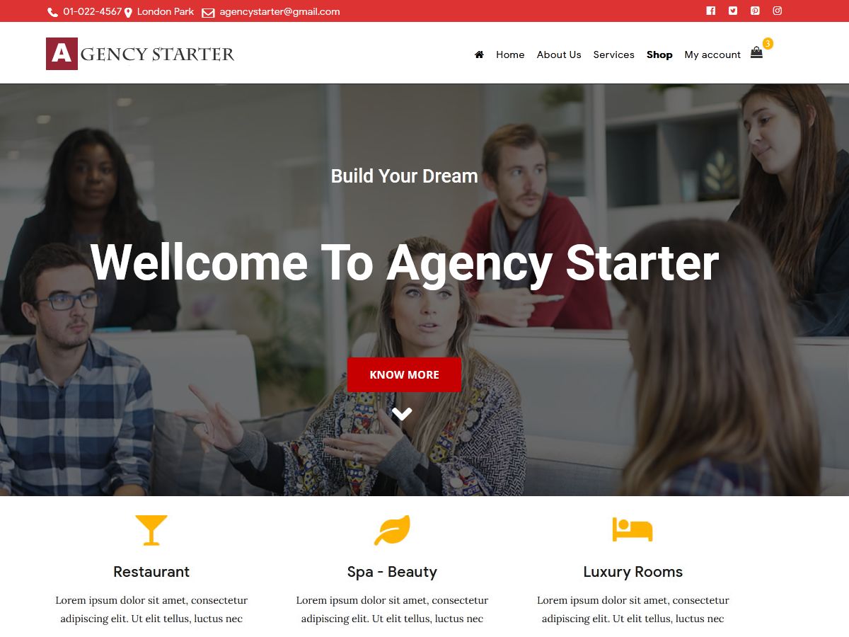agency-starter free wordpress theme