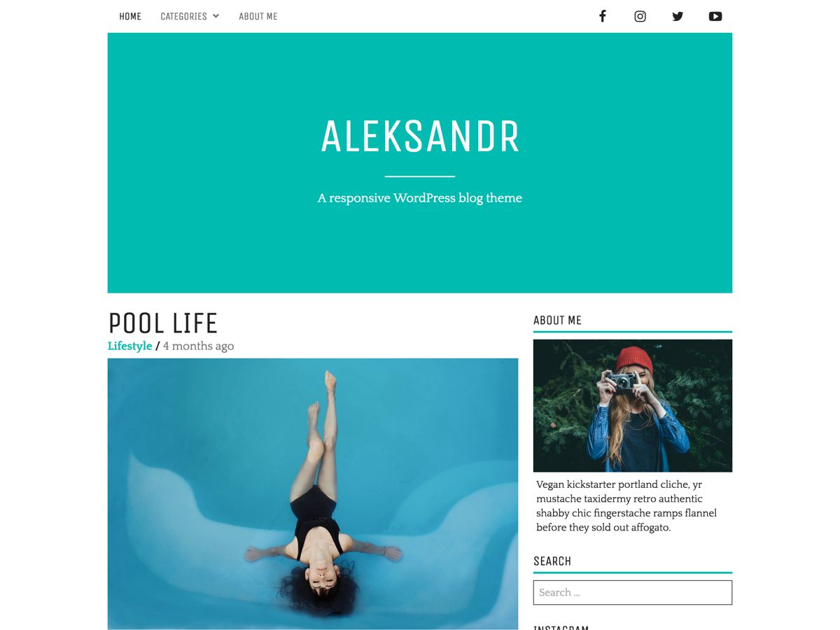 aleksandr free wordpress theme