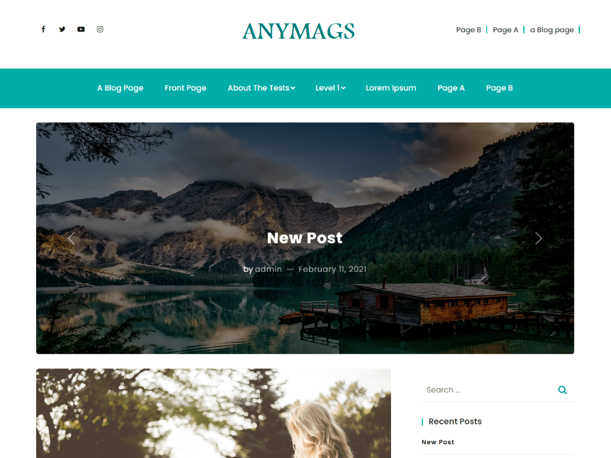 anymags free wordpress theme