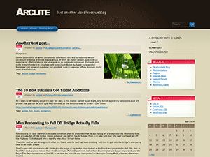 arclite free wordpress theme