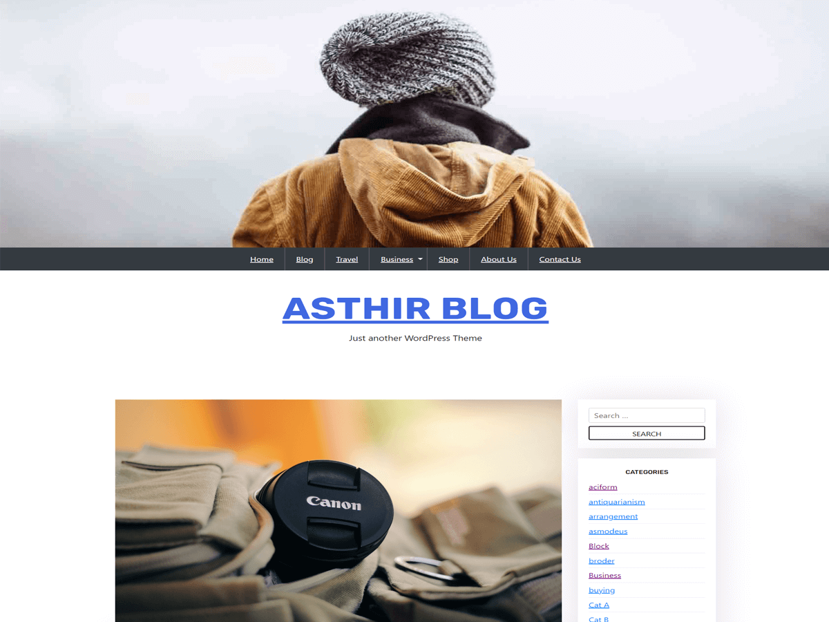 asthir-blog free wordpress theme