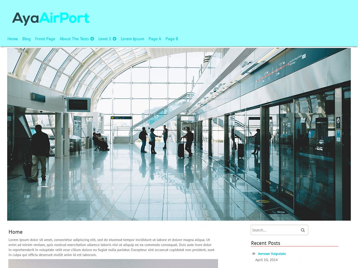 ayaairport free wordpress theme