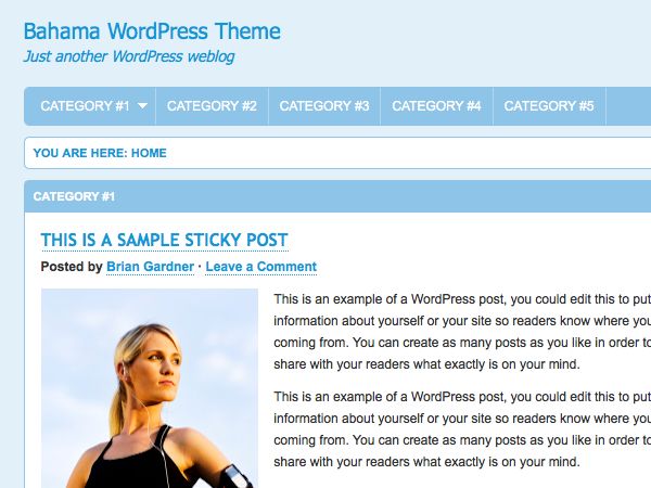 bahama free wordpress theme
