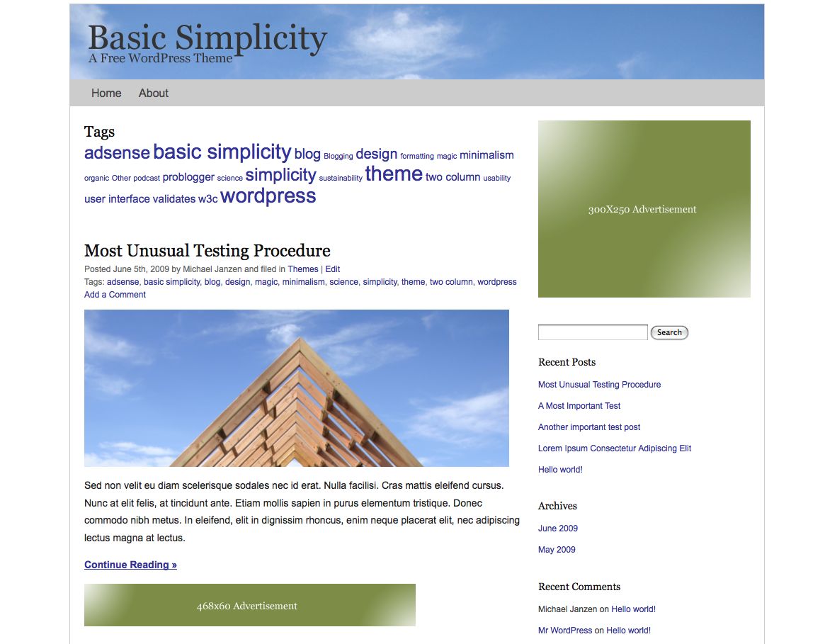 basic-simplicity free wordpress theme