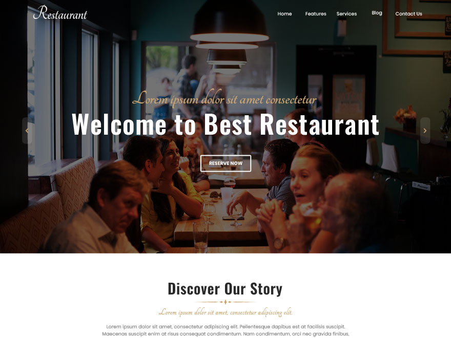 best-restaurant free wordpress theme