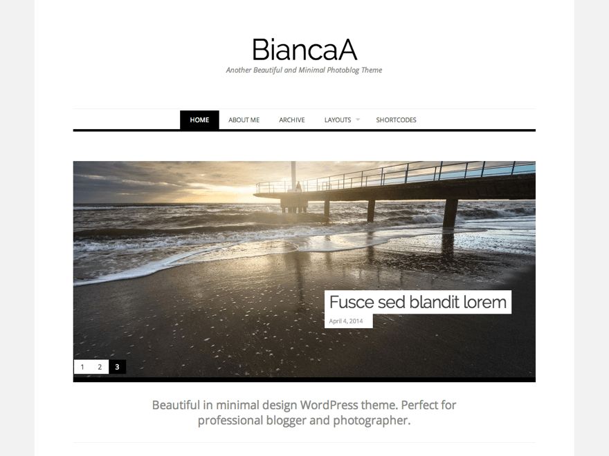 biancaa free wordpress theme