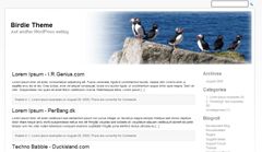 birdie free wordpress theme
