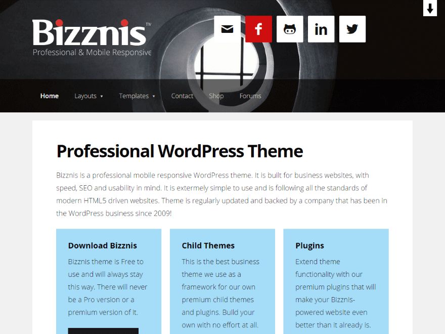 bizznis free wordpress theme