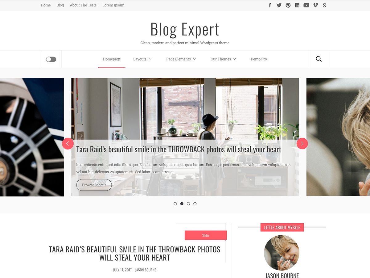 blog-expert free wordpress theme