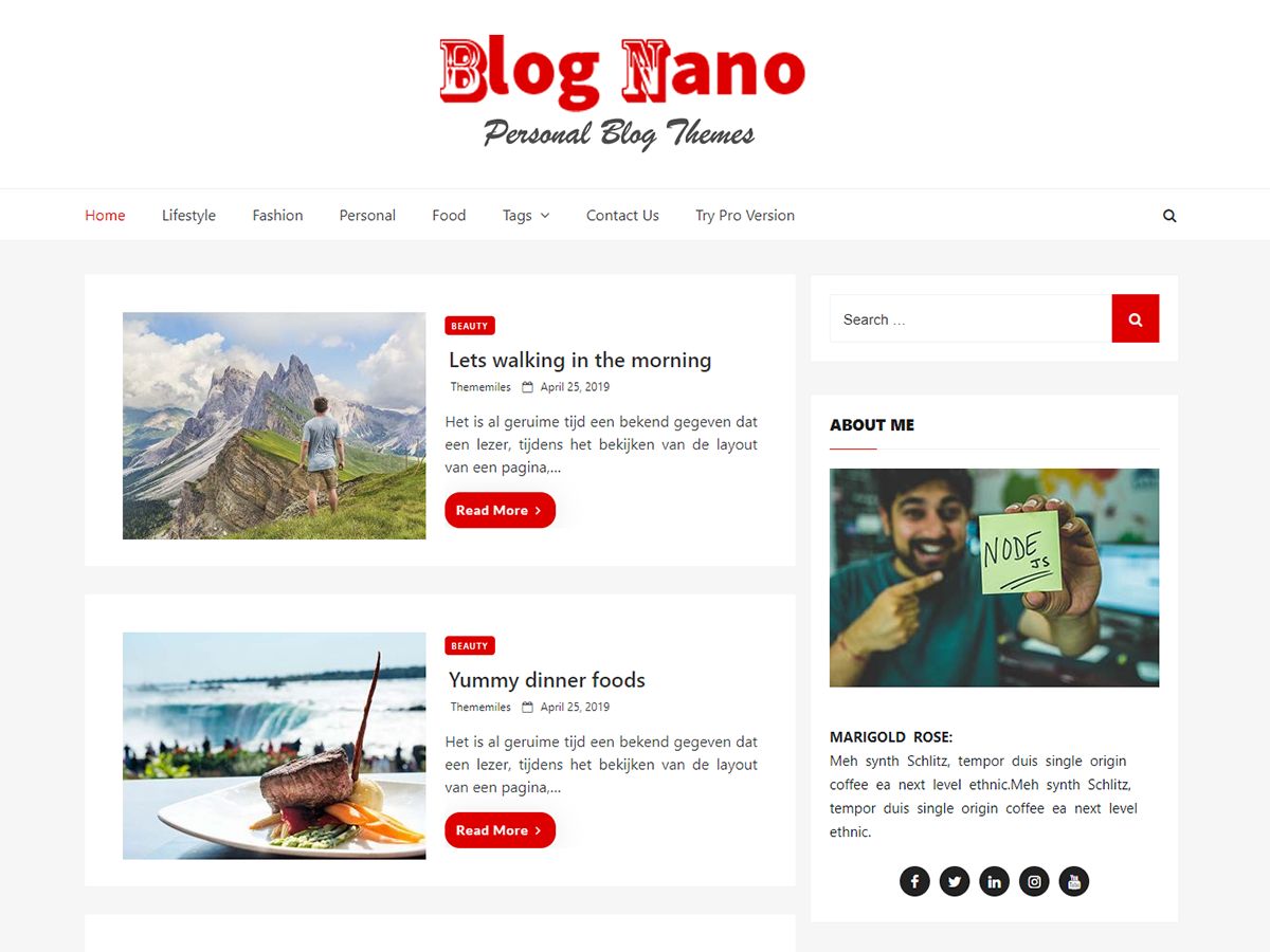 blog-nano free wordpress theme