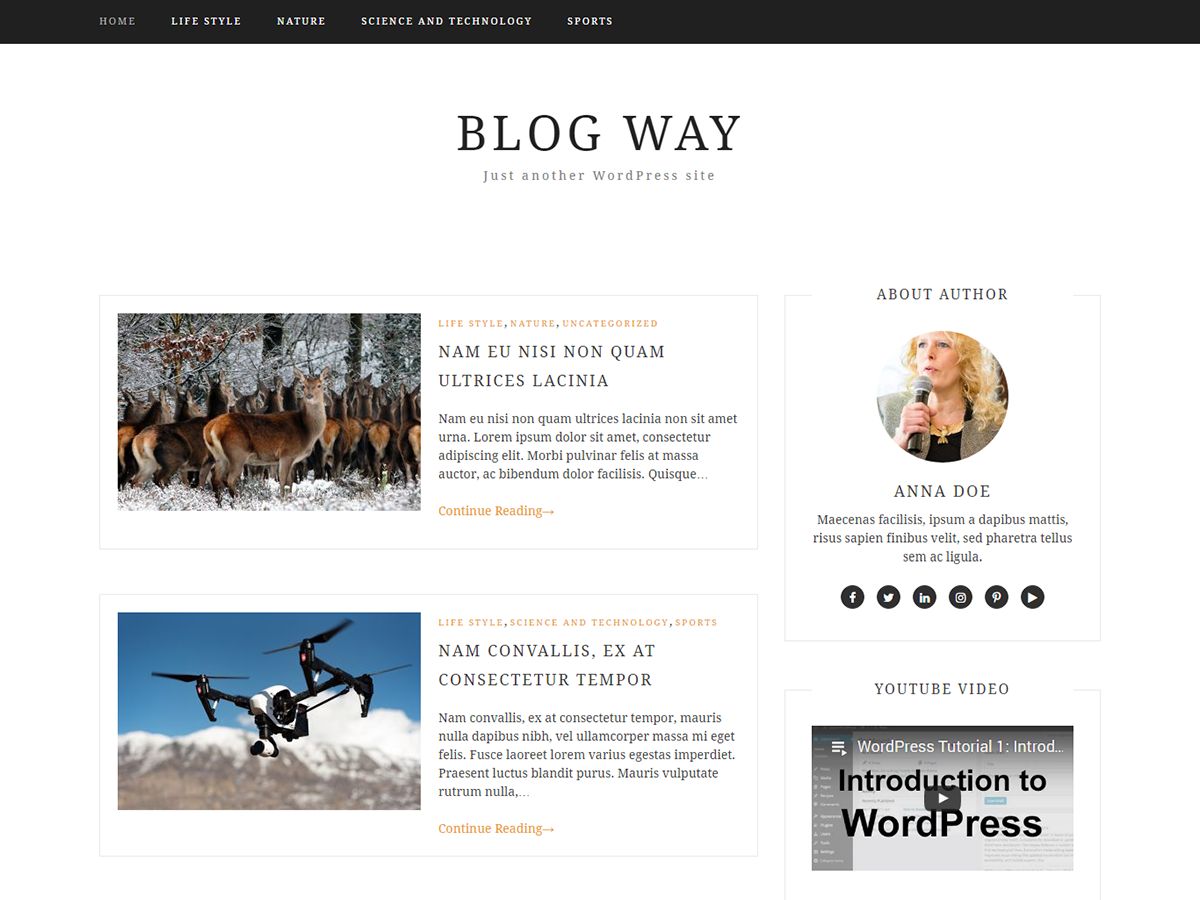 blog-way free wordpress theme