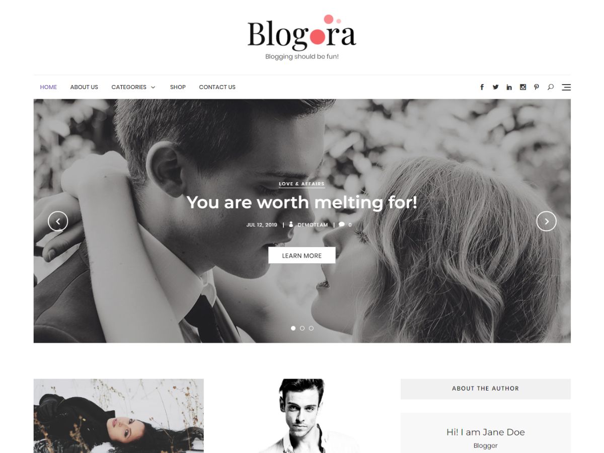 blogora free wordpress theme