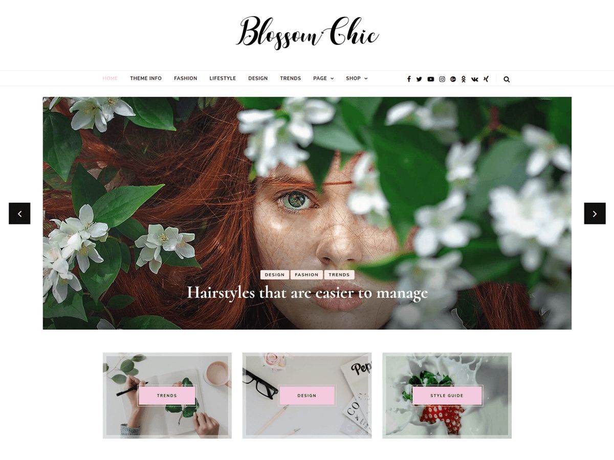 blossom-chic free wordpress theme