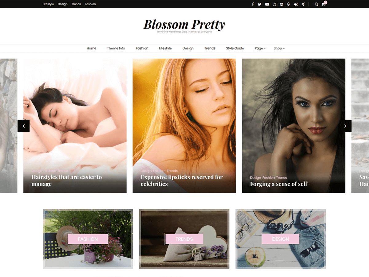 blossom-pretty free wordpress theme