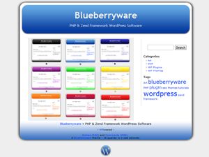 blueberry free wordpress theme