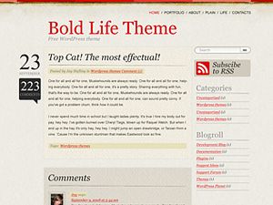 bold-life free wordpress theme