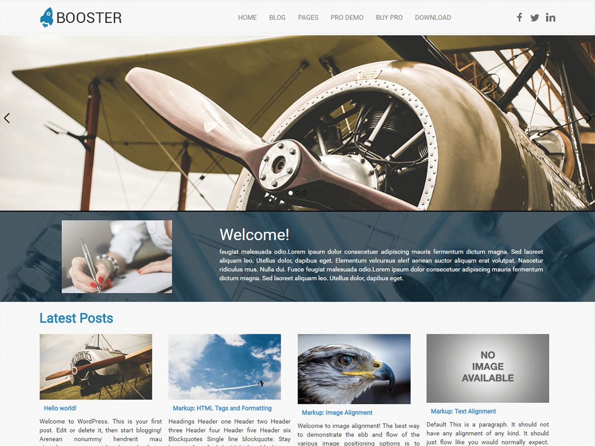 booster free wordpress theme
