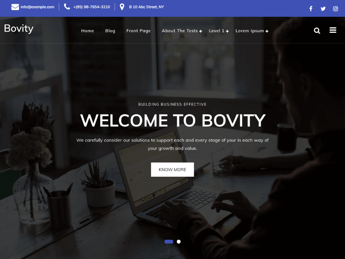 bovity free wordpress theme