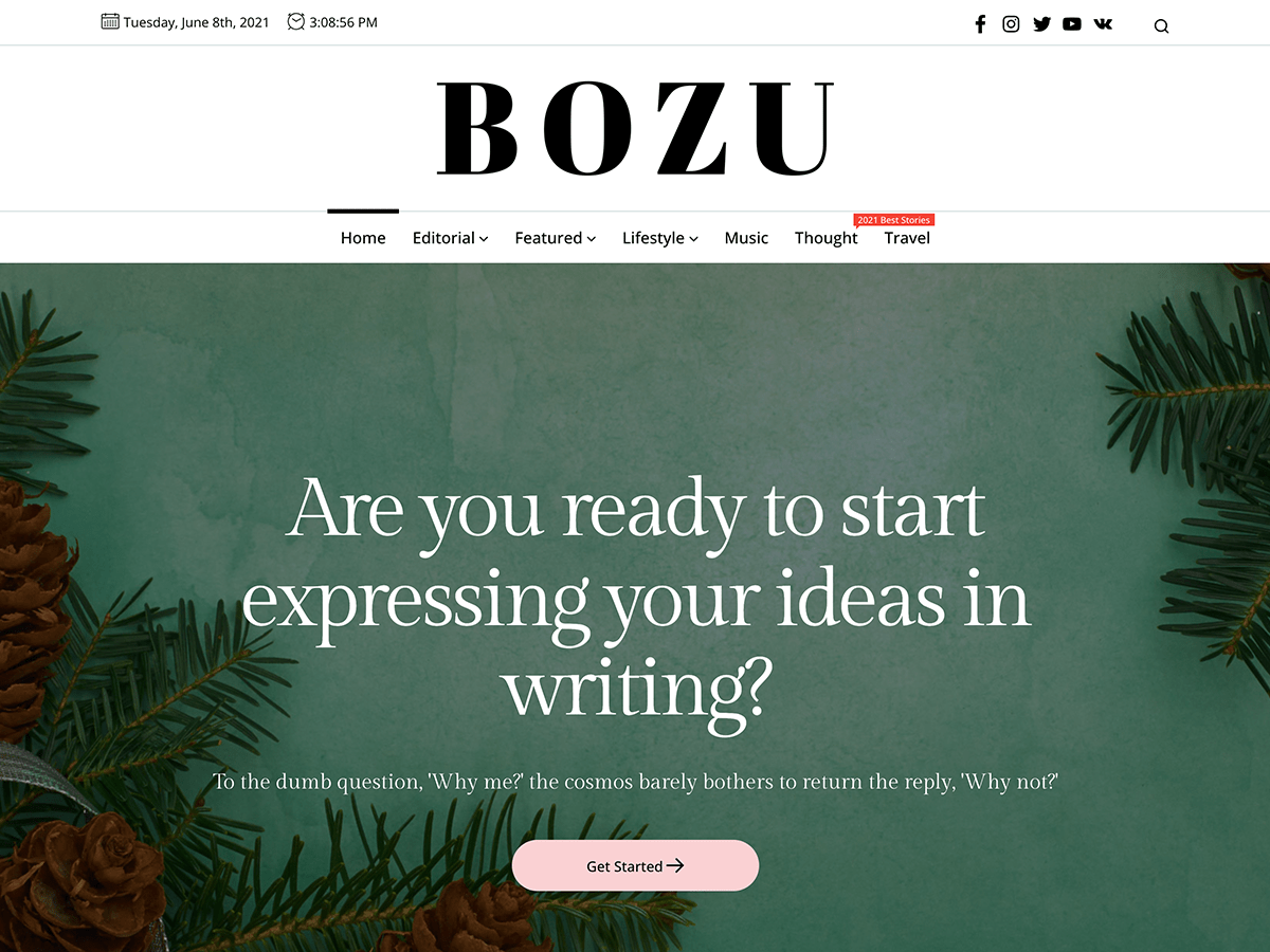 bozu free wordpress theme