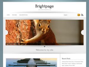 brightpage free wordpress theme