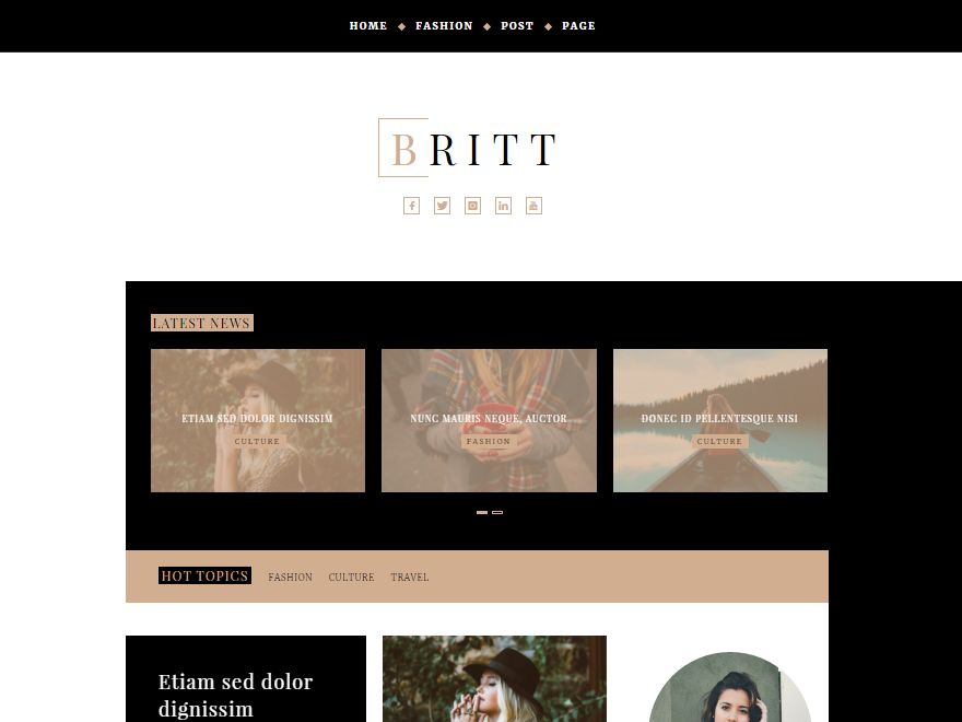 britt free wordpress theme