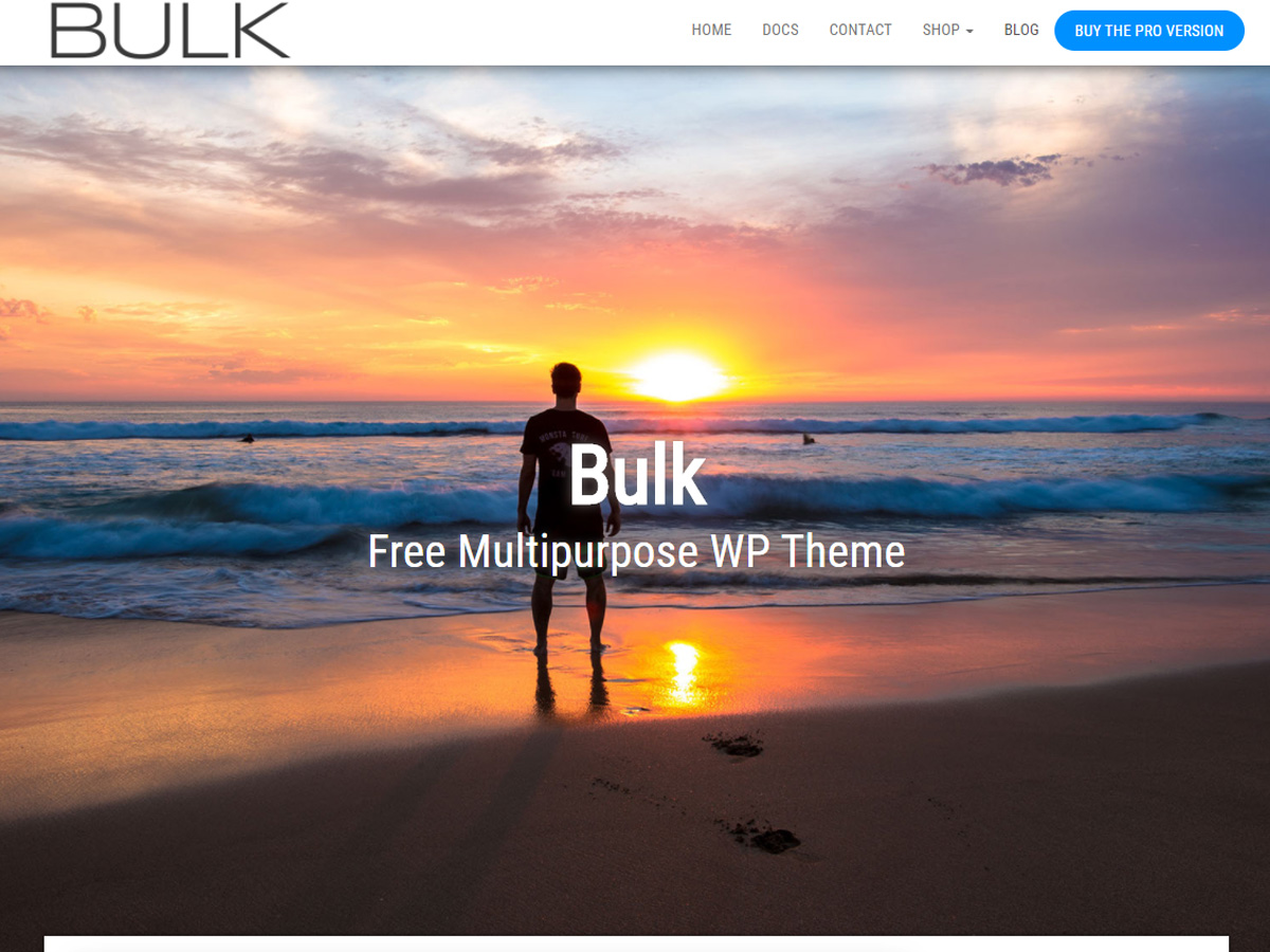 bulk free wordpress theme