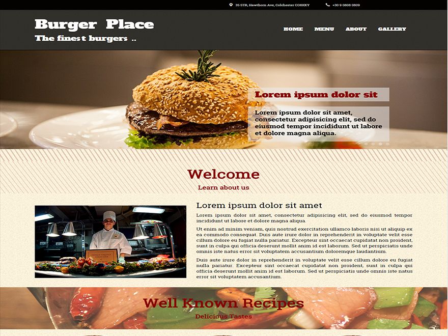 burger free wordpress theme