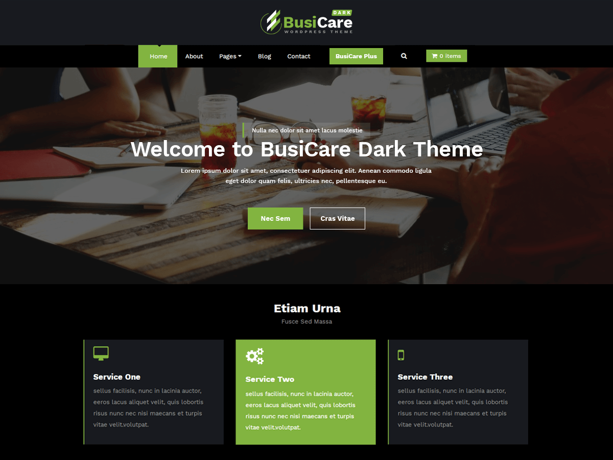 busicare-dark free wordpress theme