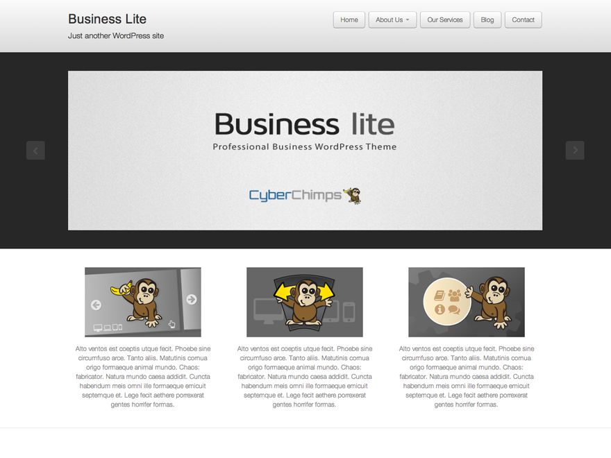 business-lite free wordpress theme
