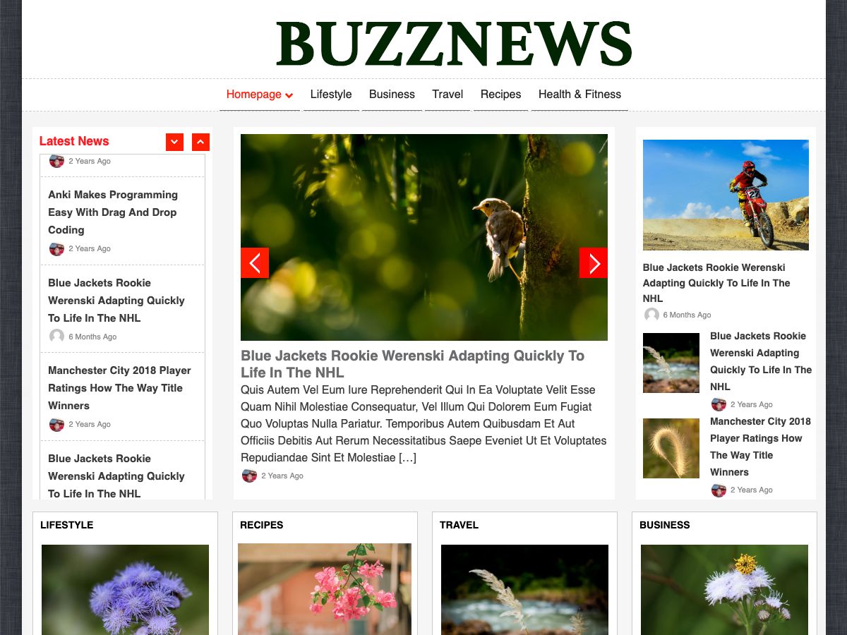buzznews free wordpress theme