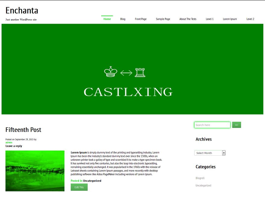 castlxing free wordpress theme