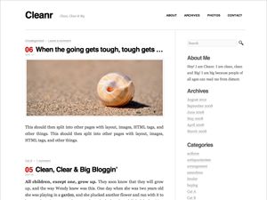 cleanr free wordpress theme
