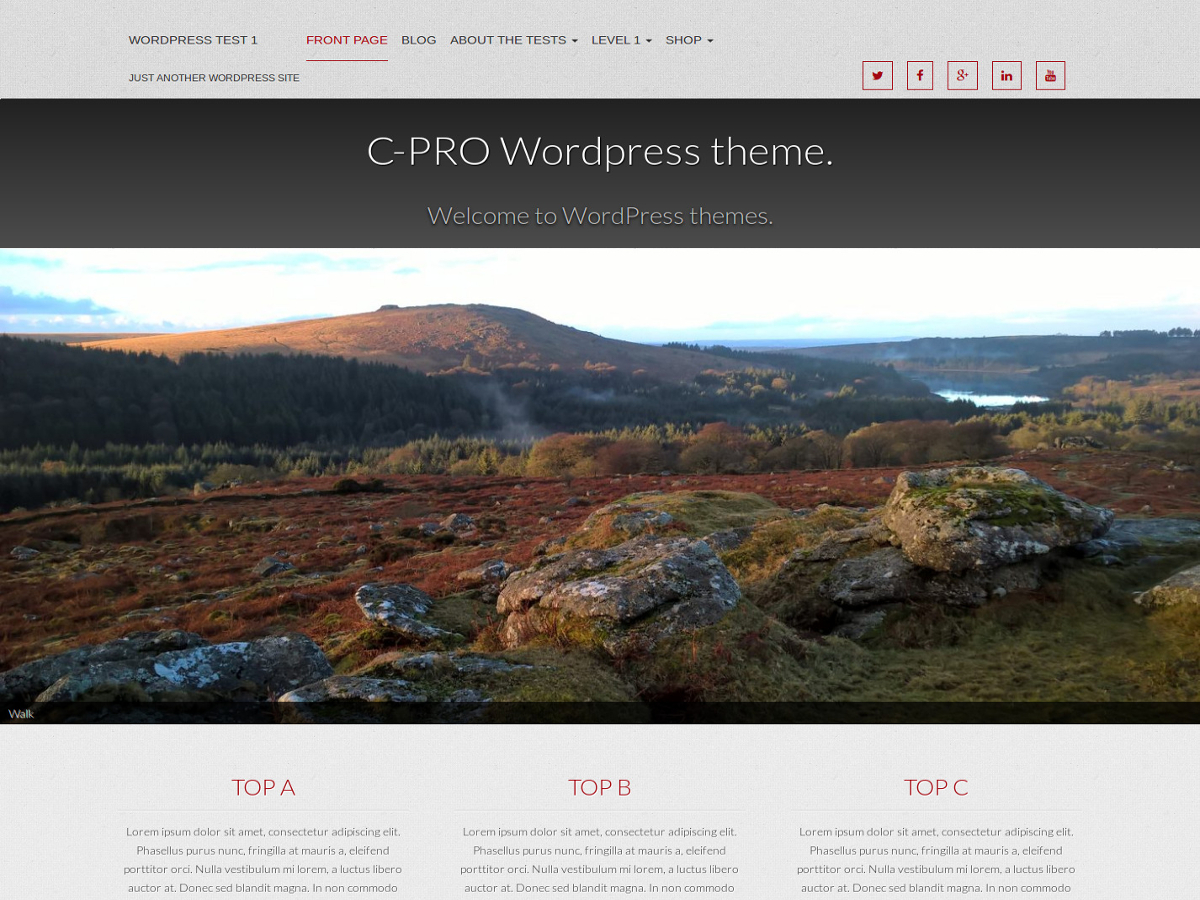 cpro free wordpress theme