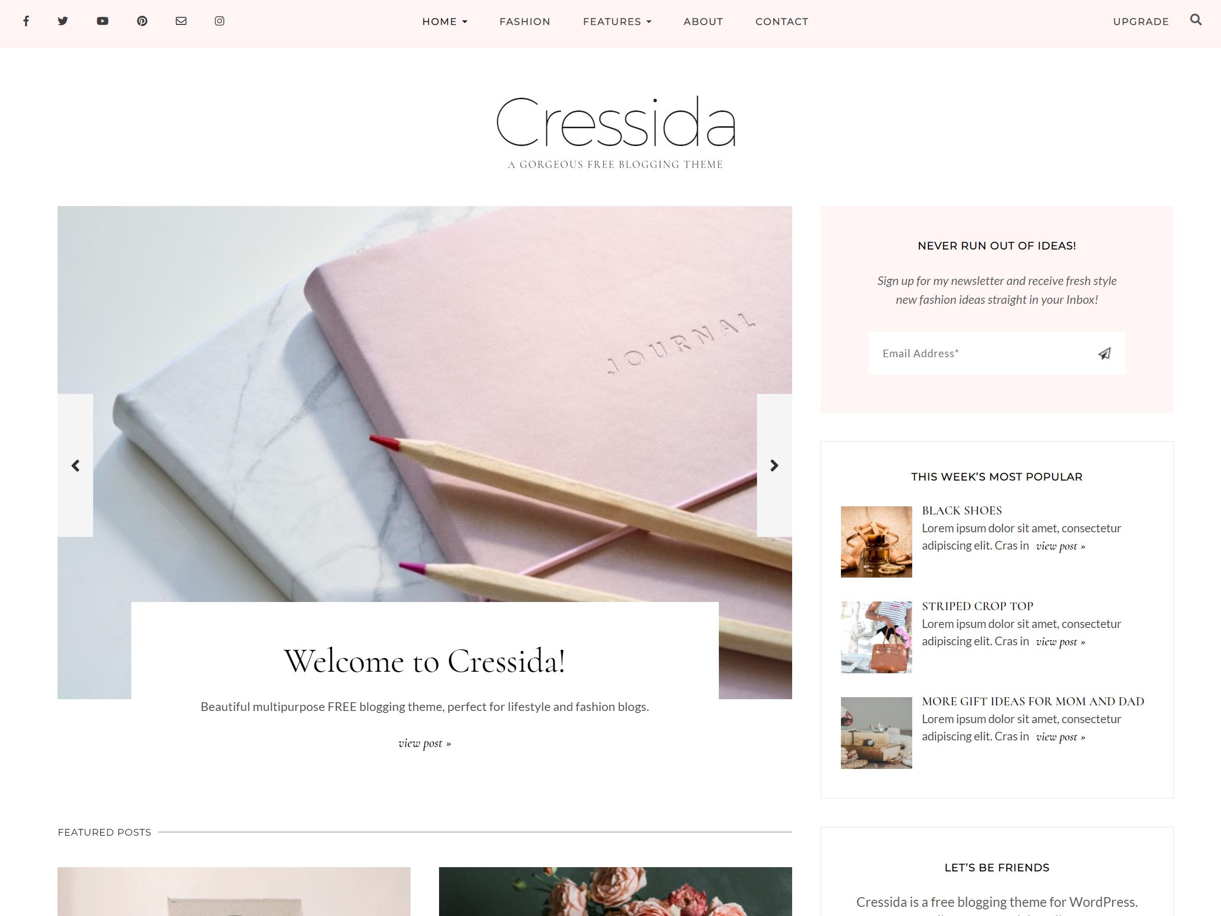cressida free wordpress theme