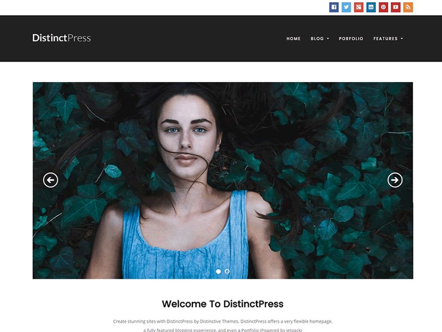 distinctpress free wordpress theme