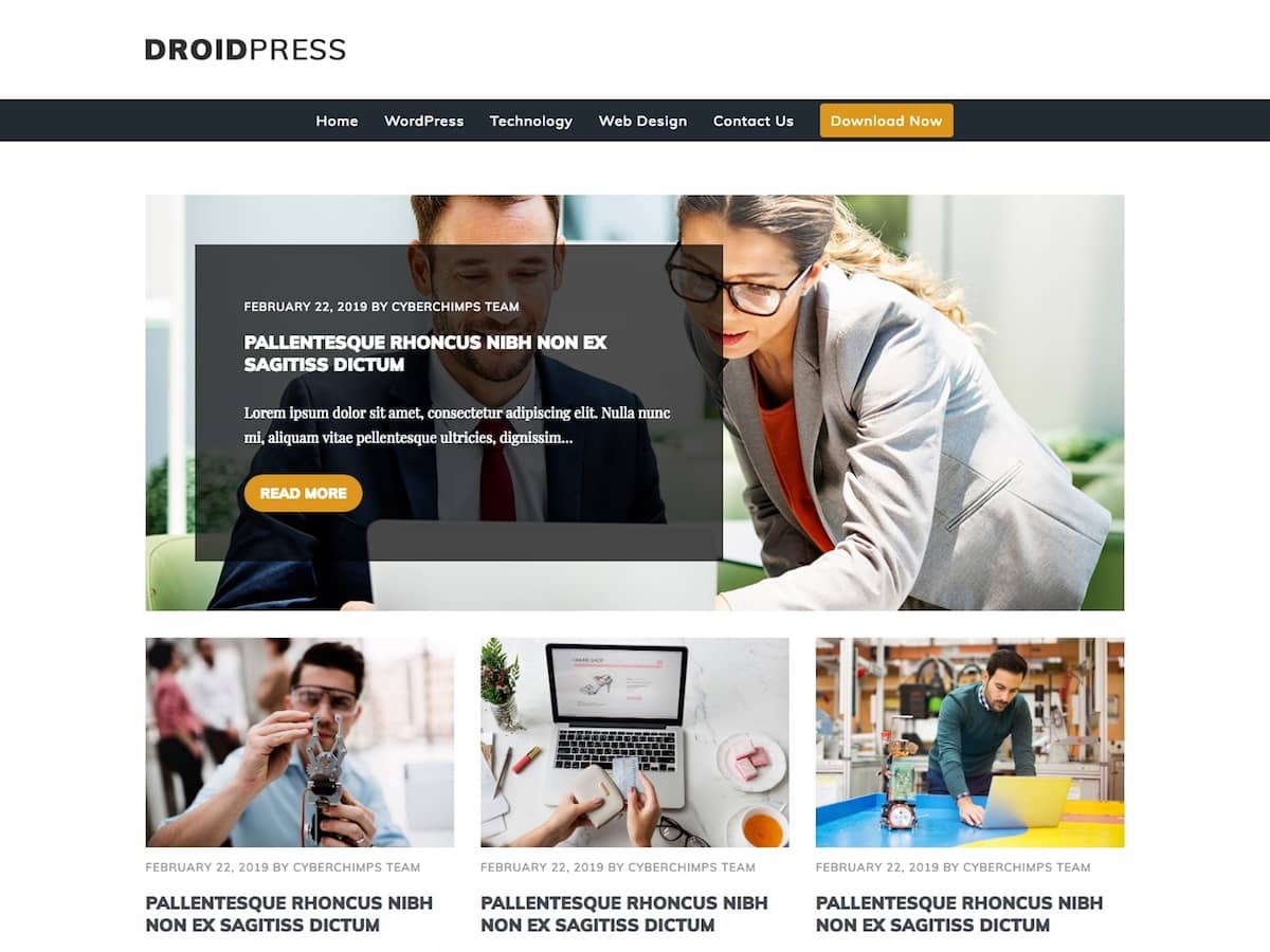 droidpress free wordpress theme