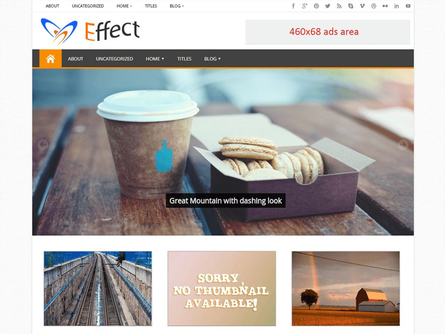 effect free wordpress theme
