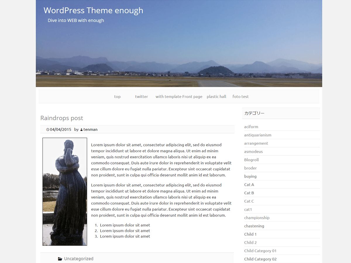 enough free wordpress theme