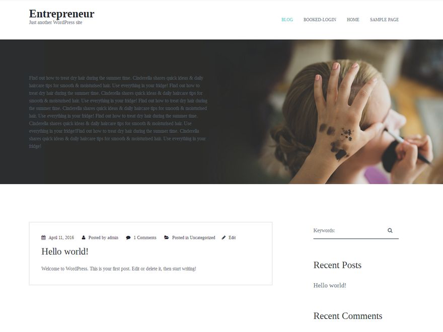 entrepreneur-lite free wordpress theme