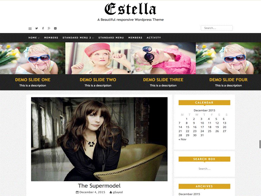 estella free wordpress theme