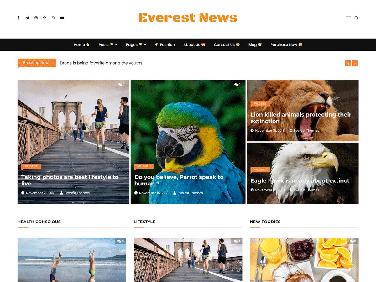everest-news-lite free wordpress theme