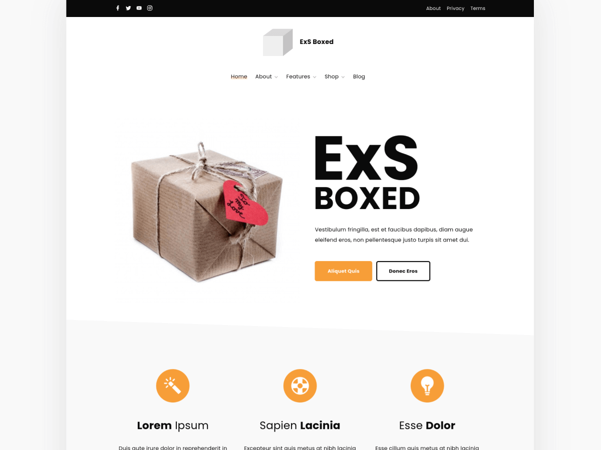 exs-boxed free wordpress theme