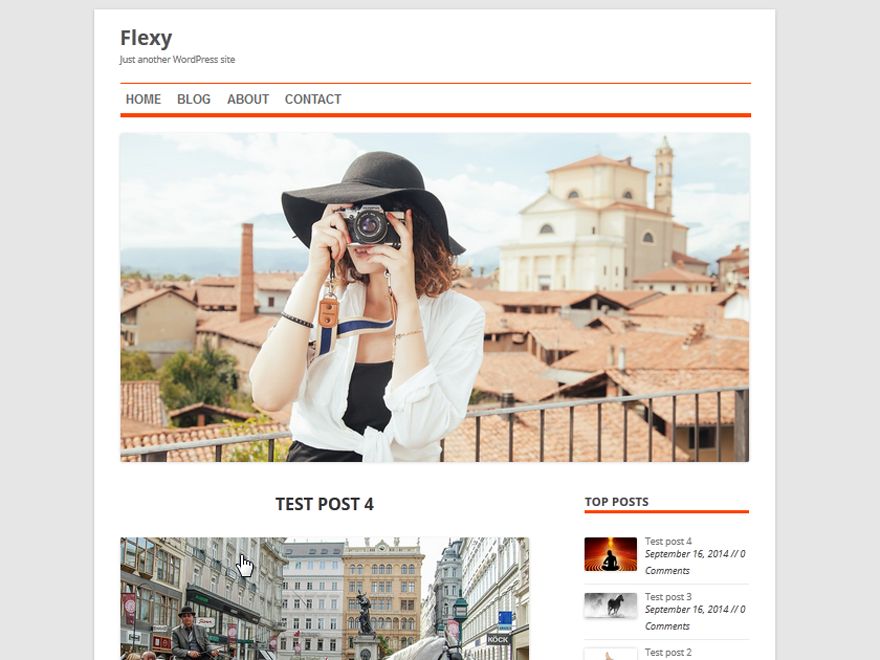 flexy free wordpress theme
