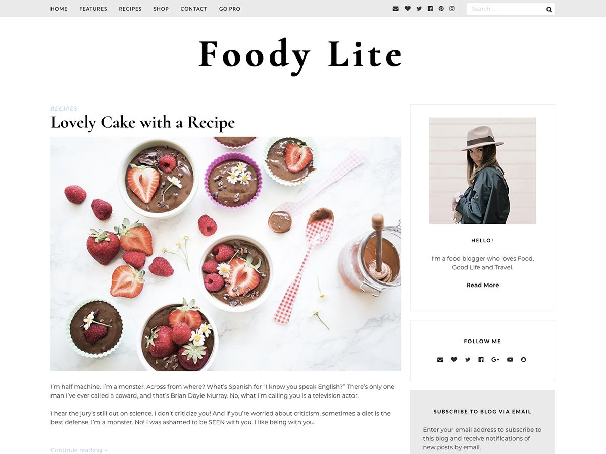 foodylite free wordpress theme
