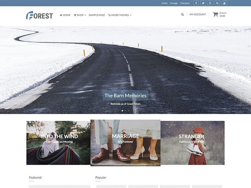 forest free wordpress theme