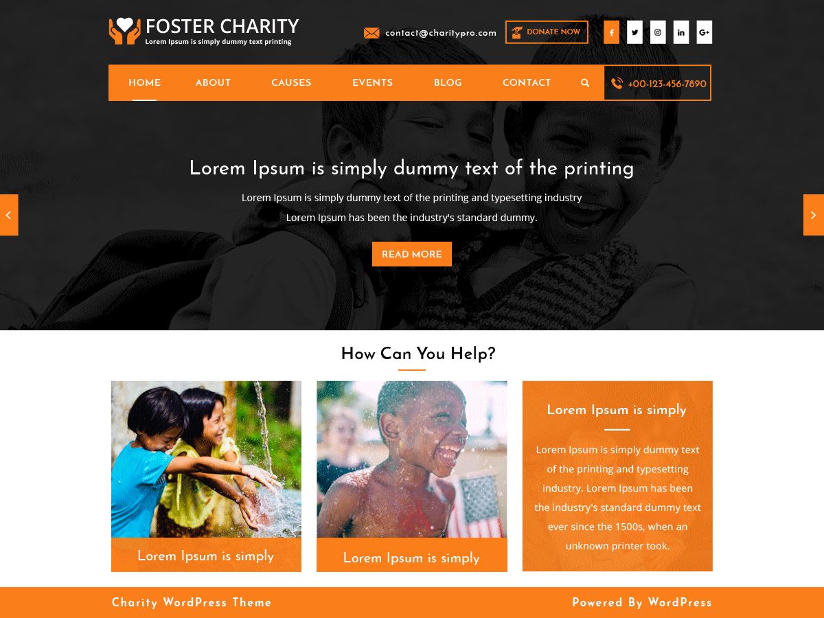 foster-charity free wordpress theme
