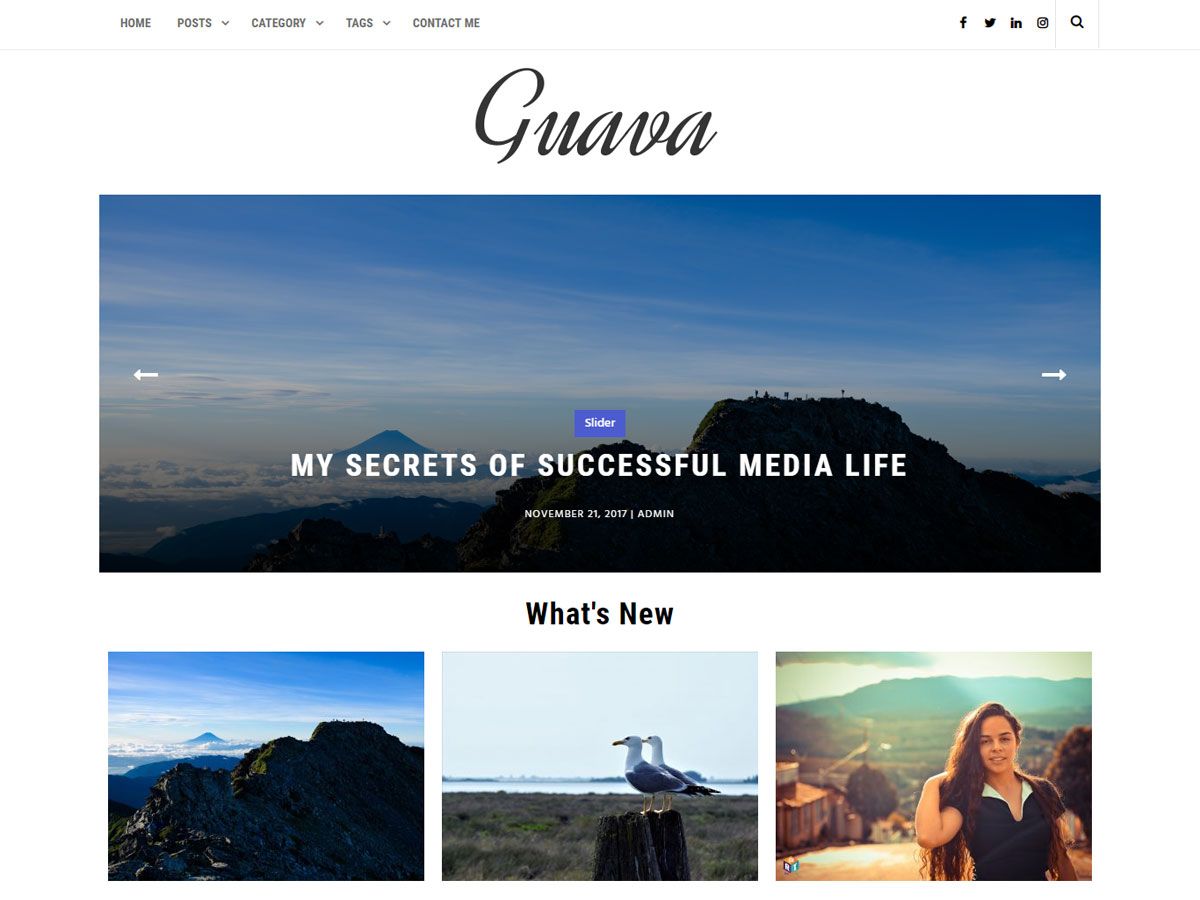guava free wordpress theme