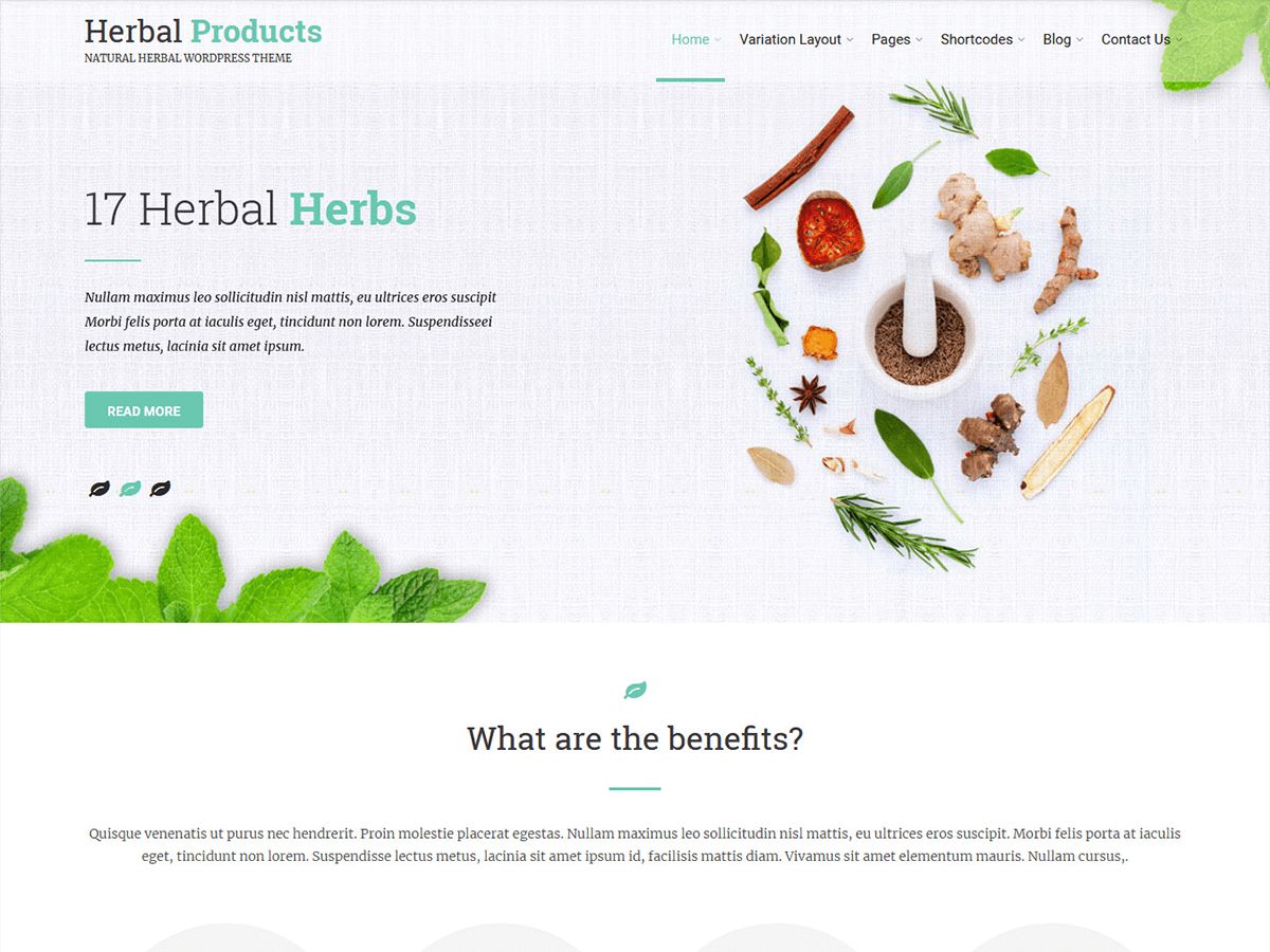 herbal-lite free wordpress theme