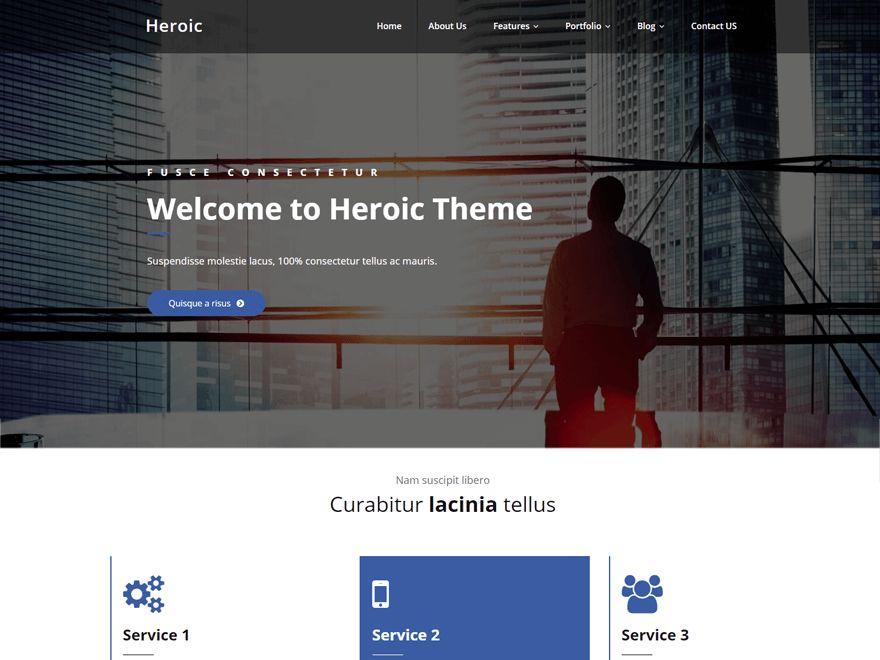 heroic free wordpress theme