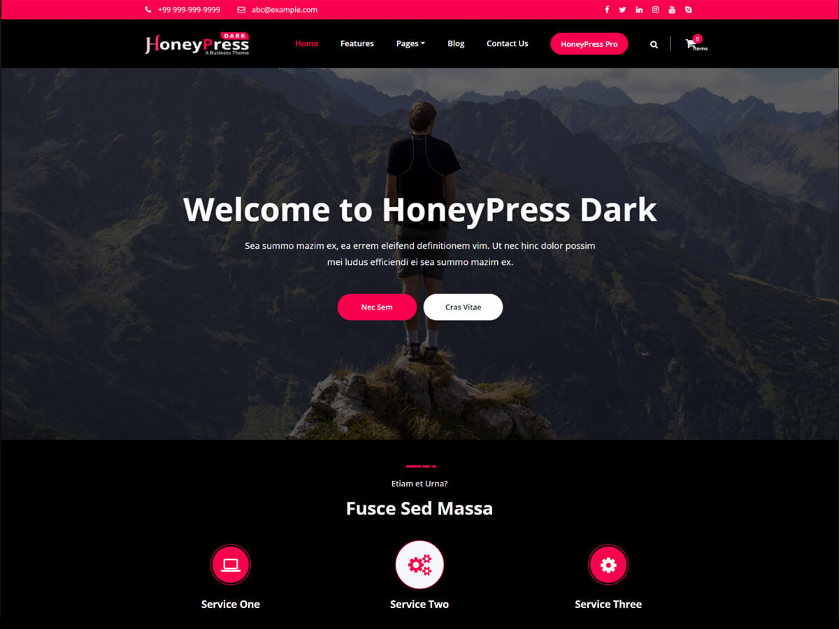 honeypress-dark free wordpress theme